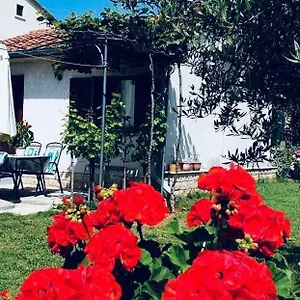 Apartment Benassi, Poreč